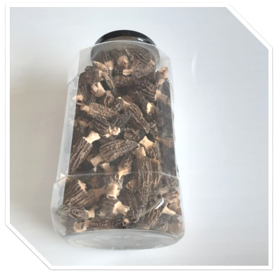 Morilles avec queues extra Morchella conica tubo 400g